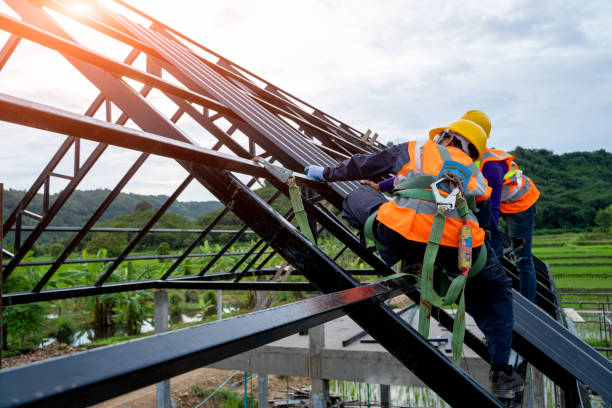Best Roof Repair Services  in Red Bud, IL