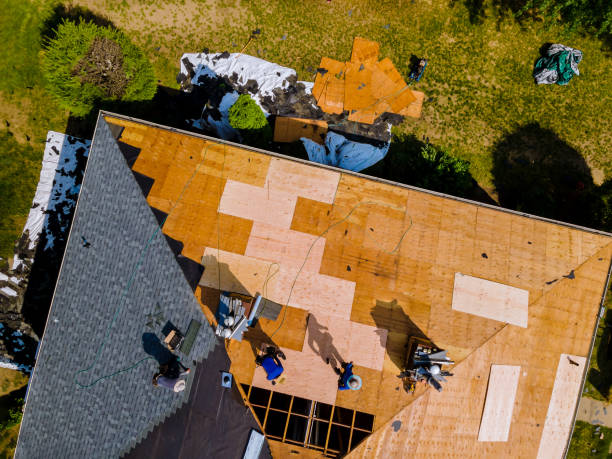Best Emergency Roof Repair  in Red Bud, IL