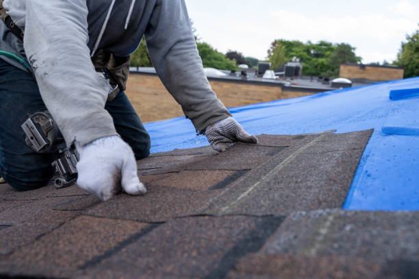 Quick and Trustworthy Emergency Roof Repair Services in Red Bud, IL