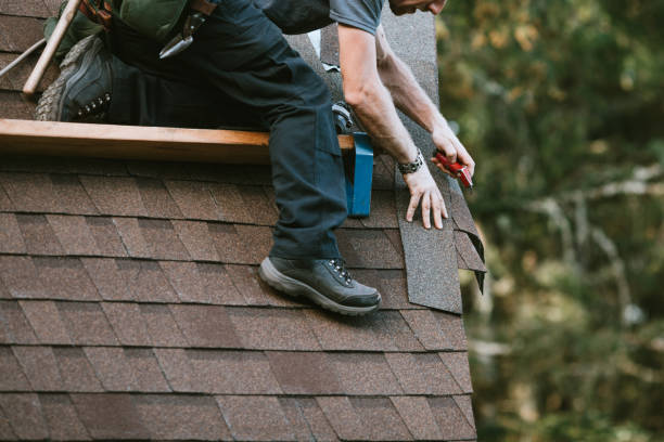 Best Roof Maintenance Services  in Red Bud, IL